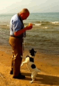 Peter Clinton and dog on the beach